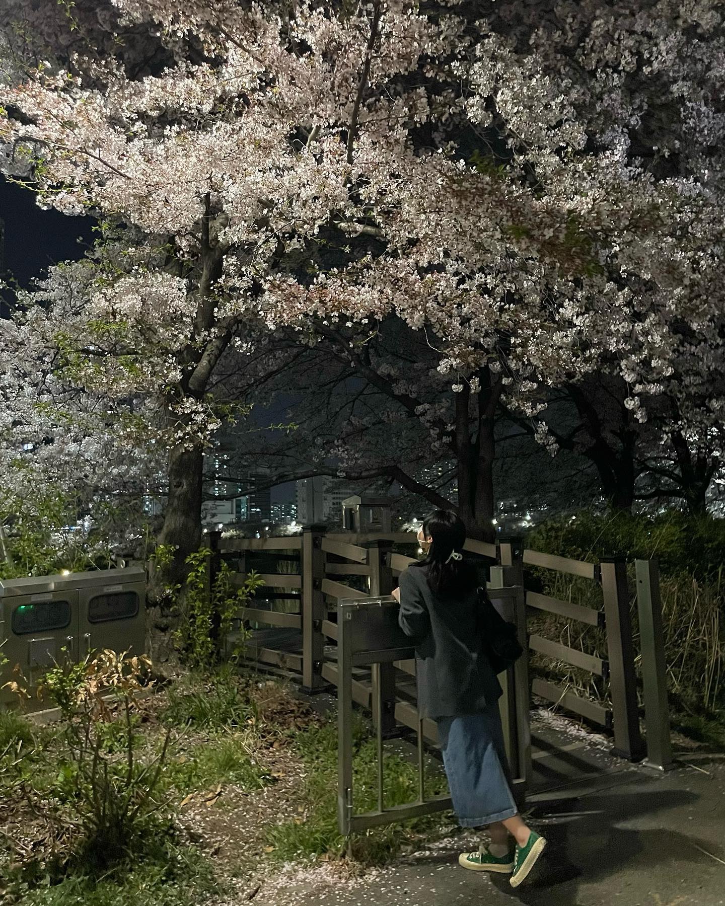 팝콘 실컷보기