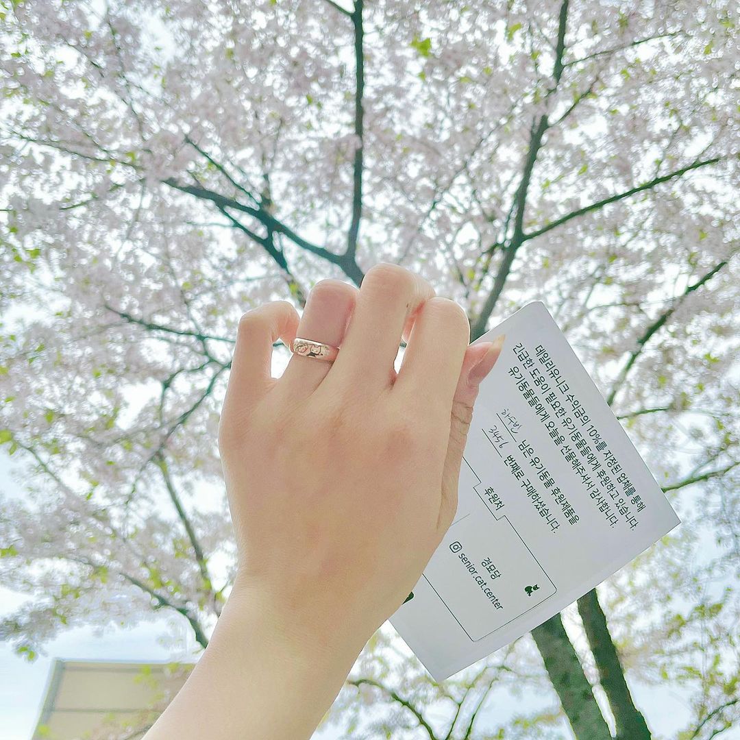 ˢᴼᴼ ᴮᴵᴺ on Instagram: “#광고 🌸💍🌸 제 반지 예뿌죠~? @daily_unique 제품이에요! 데일리유니크는 #유기동물후원 브랜드라서 평소 악세사리를 잘 하지 않지만,,,! 좋은 취지? 못 참지.. 봄