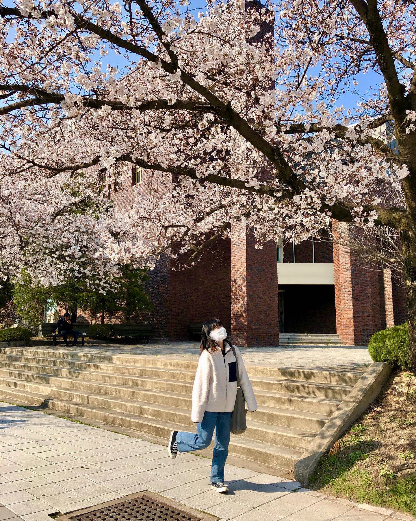 이것이 청춘 ? ✨🌸