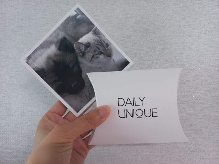 데일리유니크 : 유기견 유기묘 유기동물 후원반지