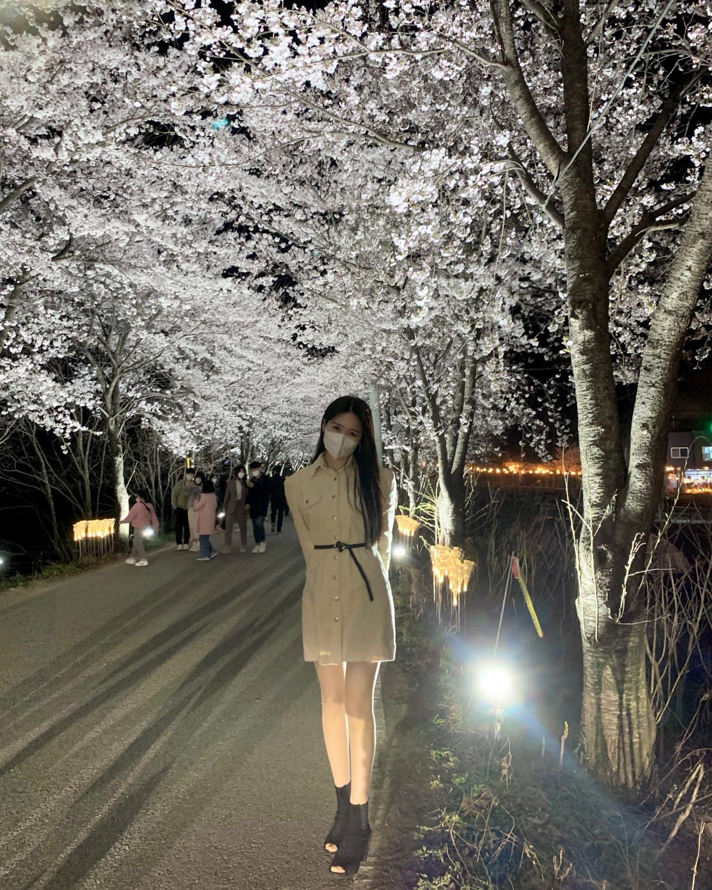 내년에 또 봐야지~👋🌸
.
.
.
.
.
.
.
#대전#대청호#벚꽃#봄#좋아요#좋반#팔로우#insta#instagood#fff