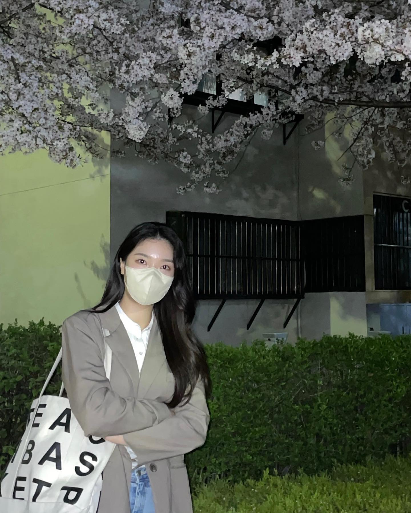 콘텐츠