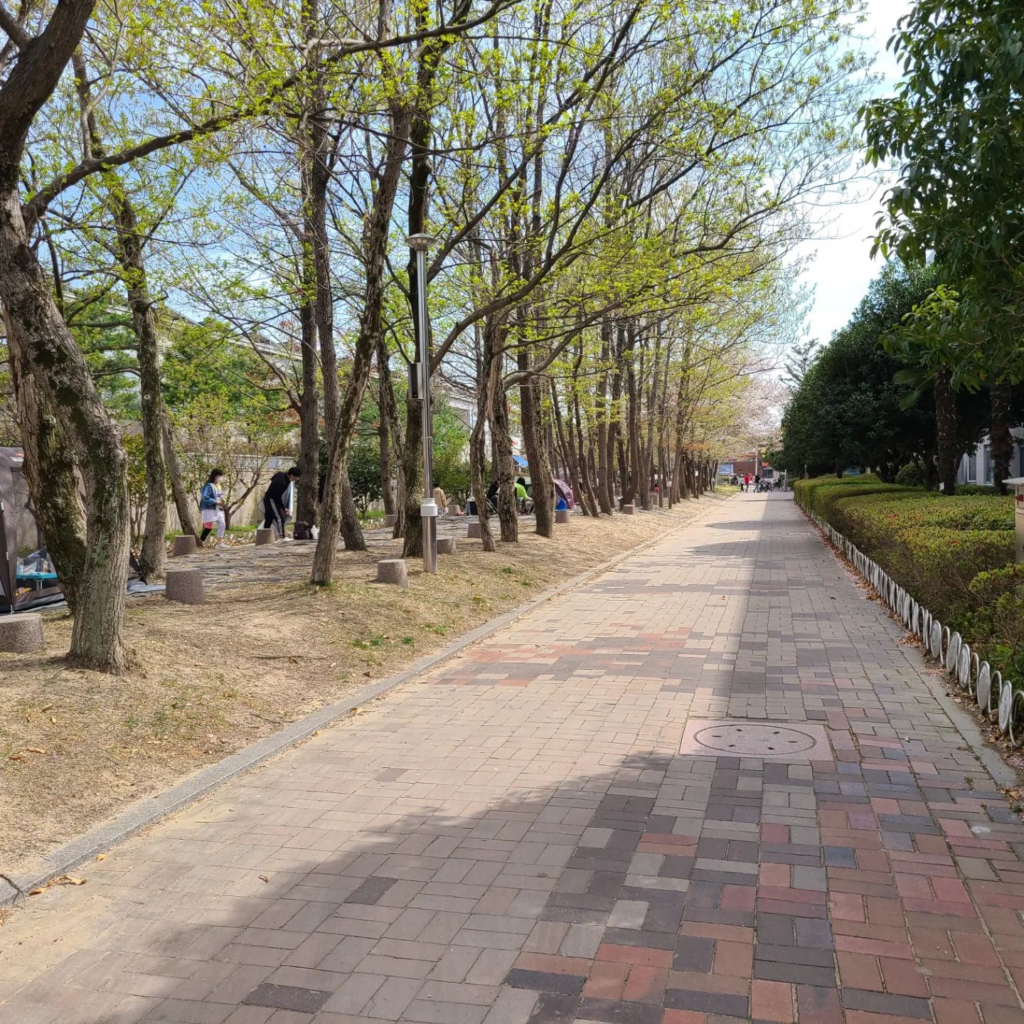 🚲 부산 스포원 파크

✔️ 아이들 자전거 타고 놀기좋은곳
✔️ 원터치텐트 가능
✔️ 취사불가
✔️ 경륜경기 관람및 베팅가능(입장료 천원)
✔️ 소풍가기 좋은곳

#부산스포원파크
#부산공원 #금정체육공원
#부산금정체육공원 #부산 #금정구
#부산경륜장 #경륜 #데이트 #부산가볼만한곳
#부산피크닉 #부산소풍 #부산데이트