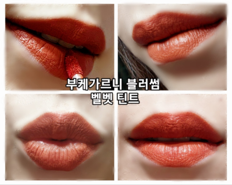 안지워지는 틴트 부케가르니 블러썸 벨벳 틴트 '진저 브라운' '칠리 모먼트' 리뷰💜