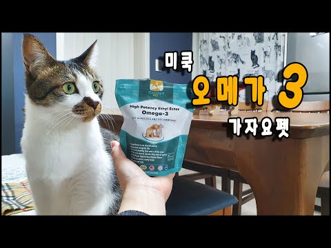 미국수의사협회 인증 가자요펫 고양이오메가3를 먹어보았어요.The cat omega3/토토네토스트