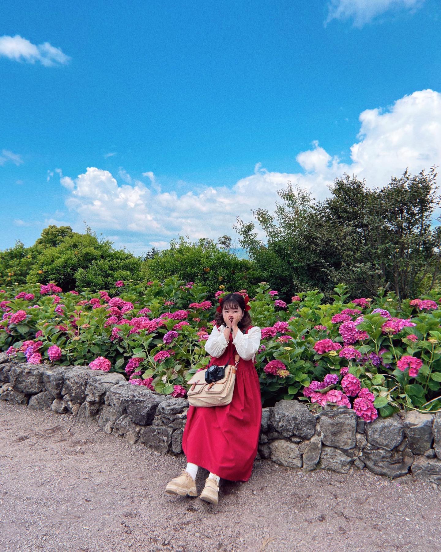 📷#쵸파필름 X #휴애리자연생활공원 
이 봄에 만나는 수국이라니🌸
휴애리는 지금 알록달록 수국이 한창이랍니다>.<
공원 곳곳에 수국이 잔뜩 피어있는데다
온실에는 파스텔톤 수국 쓰나미가🙊🙊!
제가 방문한 날은 날씨까지 좋아버려서🌝
뷰까지 완벽했다는…❤️
.
.
이번달 제주 여행하시는 분들께는 
휴애리 자연생활공원 무조건 추천드려요🐰
한시간만 촬영하고 얼른 가야지 했는데 머선…
두시간 넘게 사진찍다 나옴🌝 열걸음당 1찰칵🌝
.
.
#제주 #제주도 #서귀포 #휴애리 #수국 #제주수국 #수국축제 #제주여행