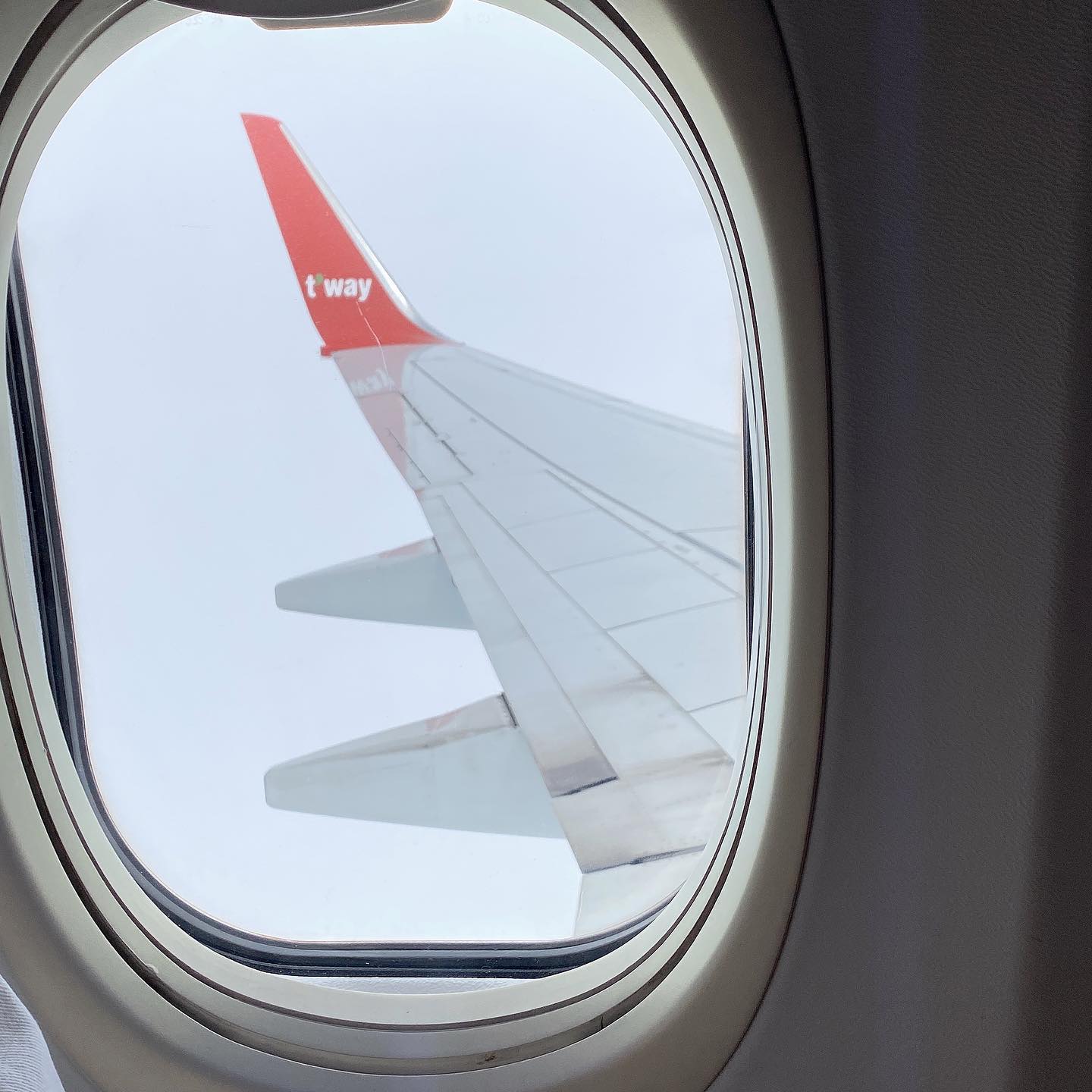 🍊🏔✈️