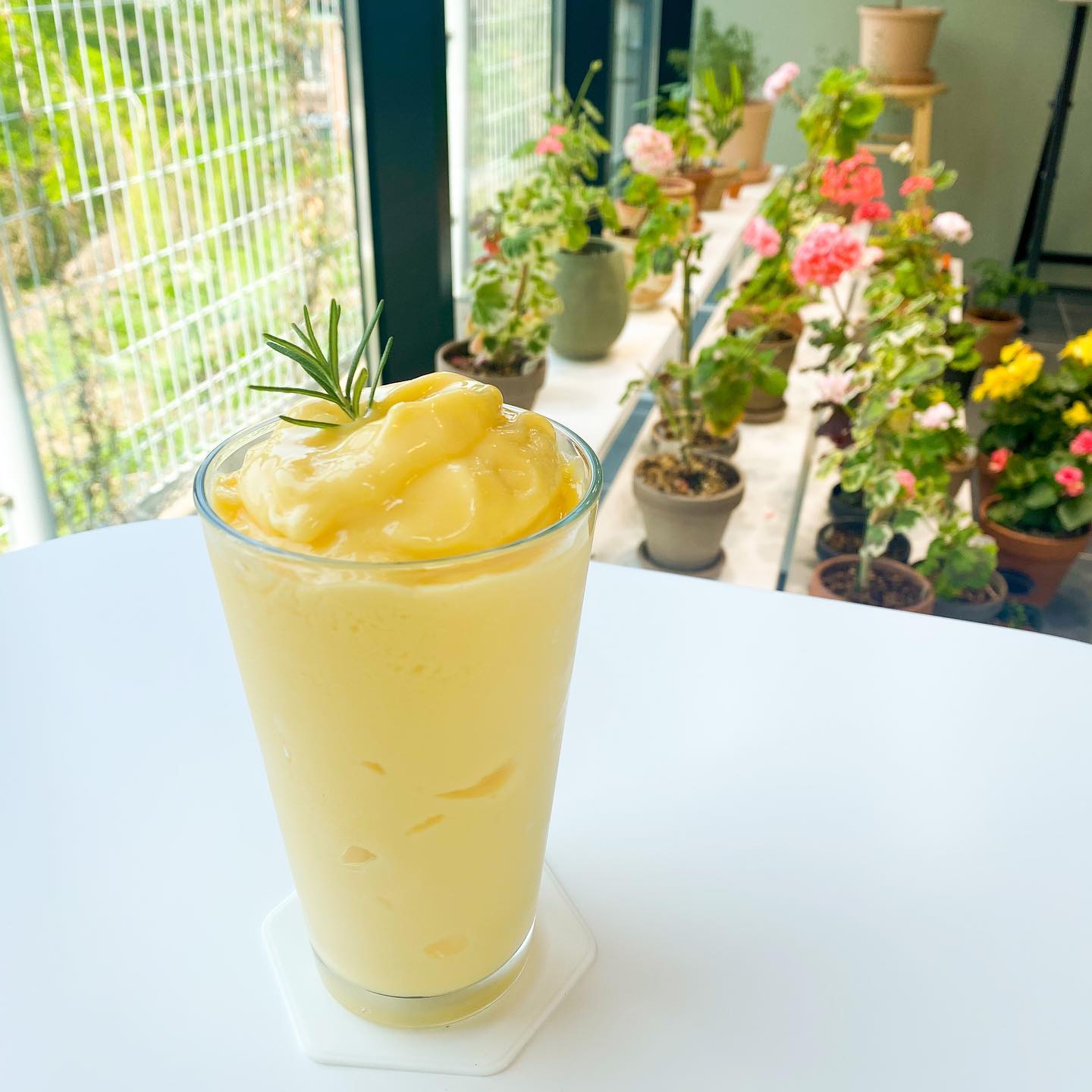 '
망고듬뿍갈아넣은 망고스무디🥤