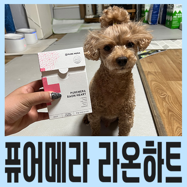 [강아지 심장병/강아지 심장 영양제] 퓨어메라 라온하트