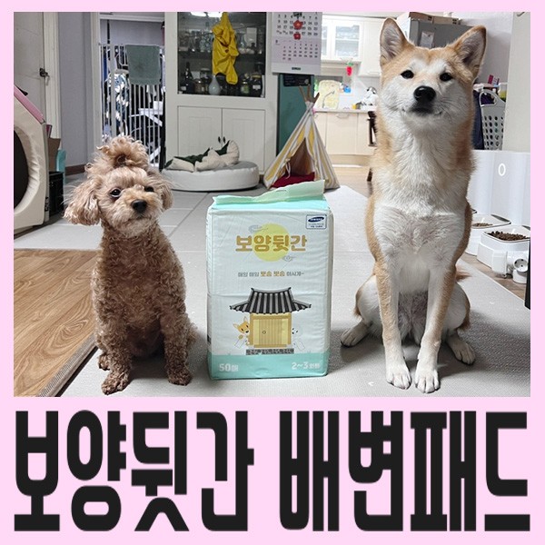 [강아지 배변패드 추천] 흡수력 좋은 보양뒷간 배변패드