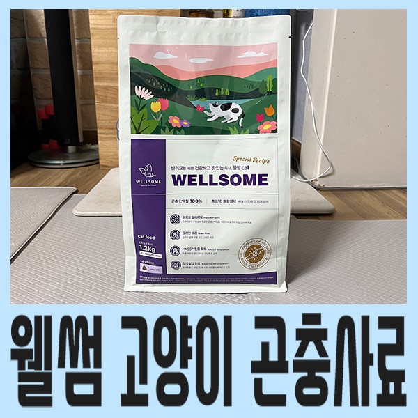 [고양이 사료 추천] 웰썸 고양이 곤충사료 잘 먹어요!