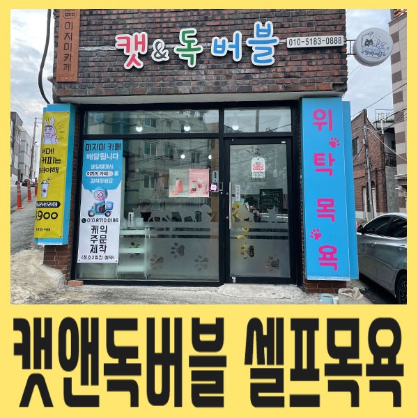 [대구애견샵/대구애견미용] 캣앤독버블에서 강아지 셀프 목욕 시키기(feat. 시바견 두마리)
