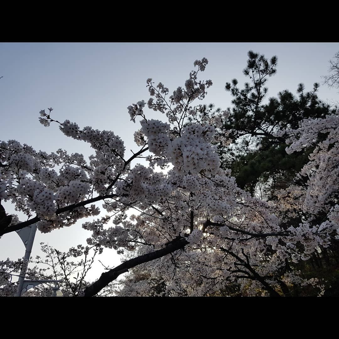 웃는게예뻐🌹발그레 <블로거 너가,고픔> on Instagram: “⠀⠀⠀⠀⠀⠀⠀⠀⠀⠀⠀⠀⠀⠀ ⠀⠀⠀⠀⠀⠀⠀⠀⠀⠀⠀⠀⠀⠀⠀⠀ ⠀⠀⠀⠀⠀⠀⠀⠀⠀⠀⠀⠀⠀⠀⠀⠀⠀⠀⠀⠀⠀⠀⠀ ⠀⠀⠀⠀⠀
