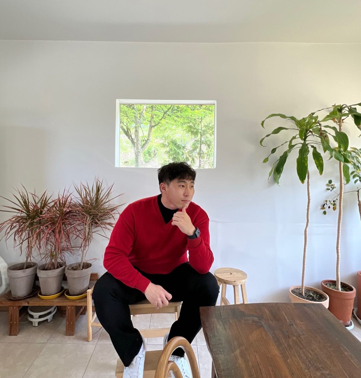 콘텐츠