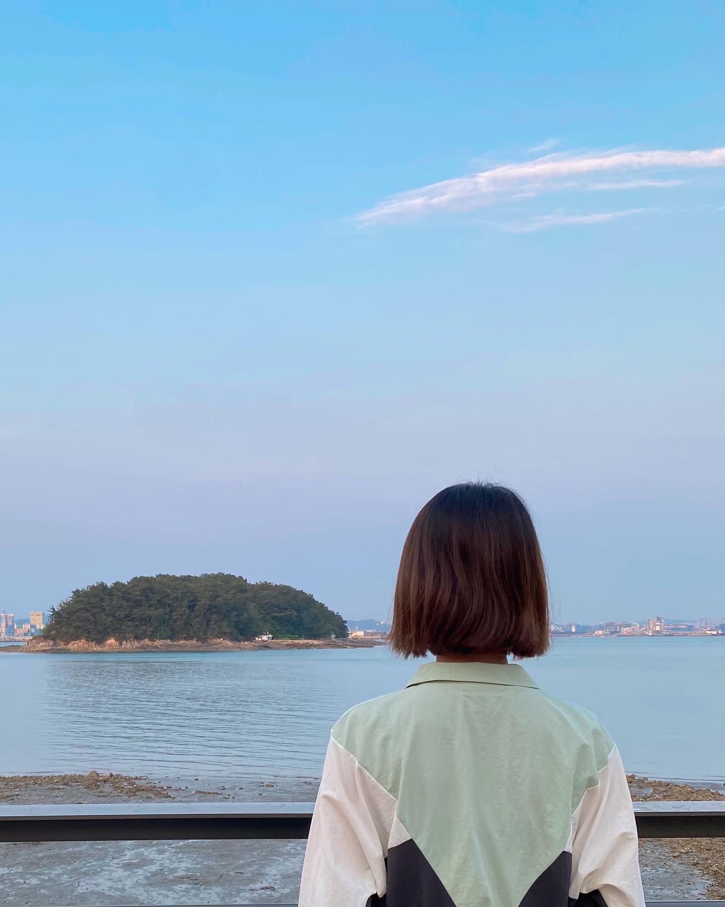 #협찬
작약도가 한 눈에 보이는 오선뷰 전망🌊
부산은 못가도 부산 기장 연화리의 명물인 전복죽과 해산물들을 이곳 영종도에서 즐길 수 있는 #연화리가는길
3단 조개찜에 칼국수, 연화리 전복죽까지
해산물은 살 안찐다❗️
#구읍뱃터맛집 #영종하늘도시맛집 #중산동맛집 #영종도전복죽 #영종도해산물 #영종도뷰맛집 #영종도맛집 #영종도데이트 #영종도가볼만한곳 #주말여행 #커플여행 #자전거라이딩
