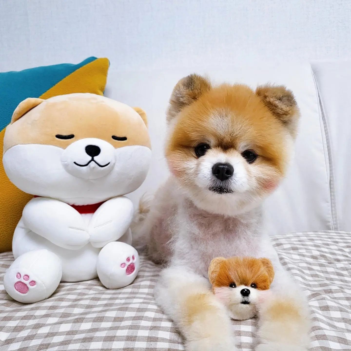 수강생님이 보내주신 후기🐶

귀여워..귀여워🙊
이런 후기받으면 기분이 너무 좋습니다❤️