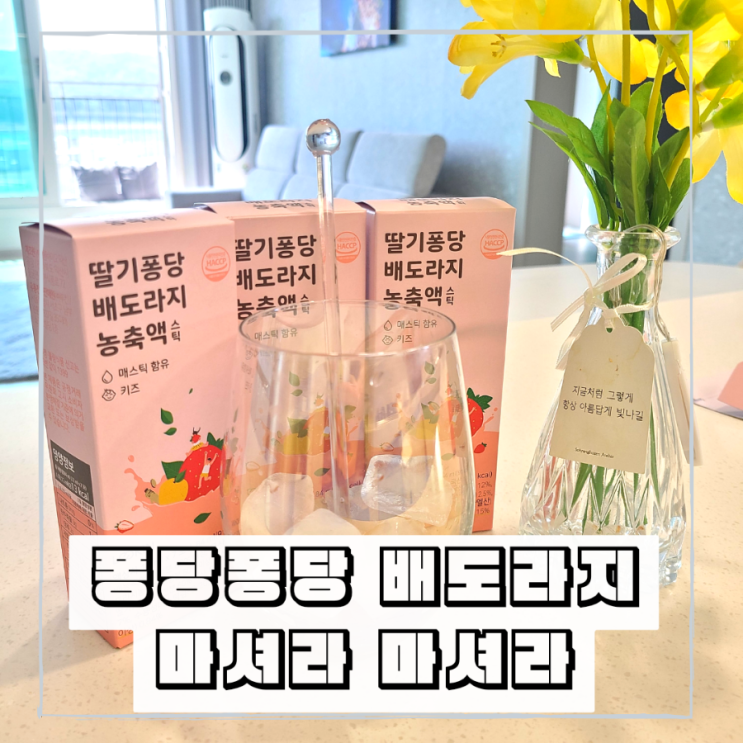 기관지 면역력 산모도 즐겨먹는 딸기퐁당 배도라지