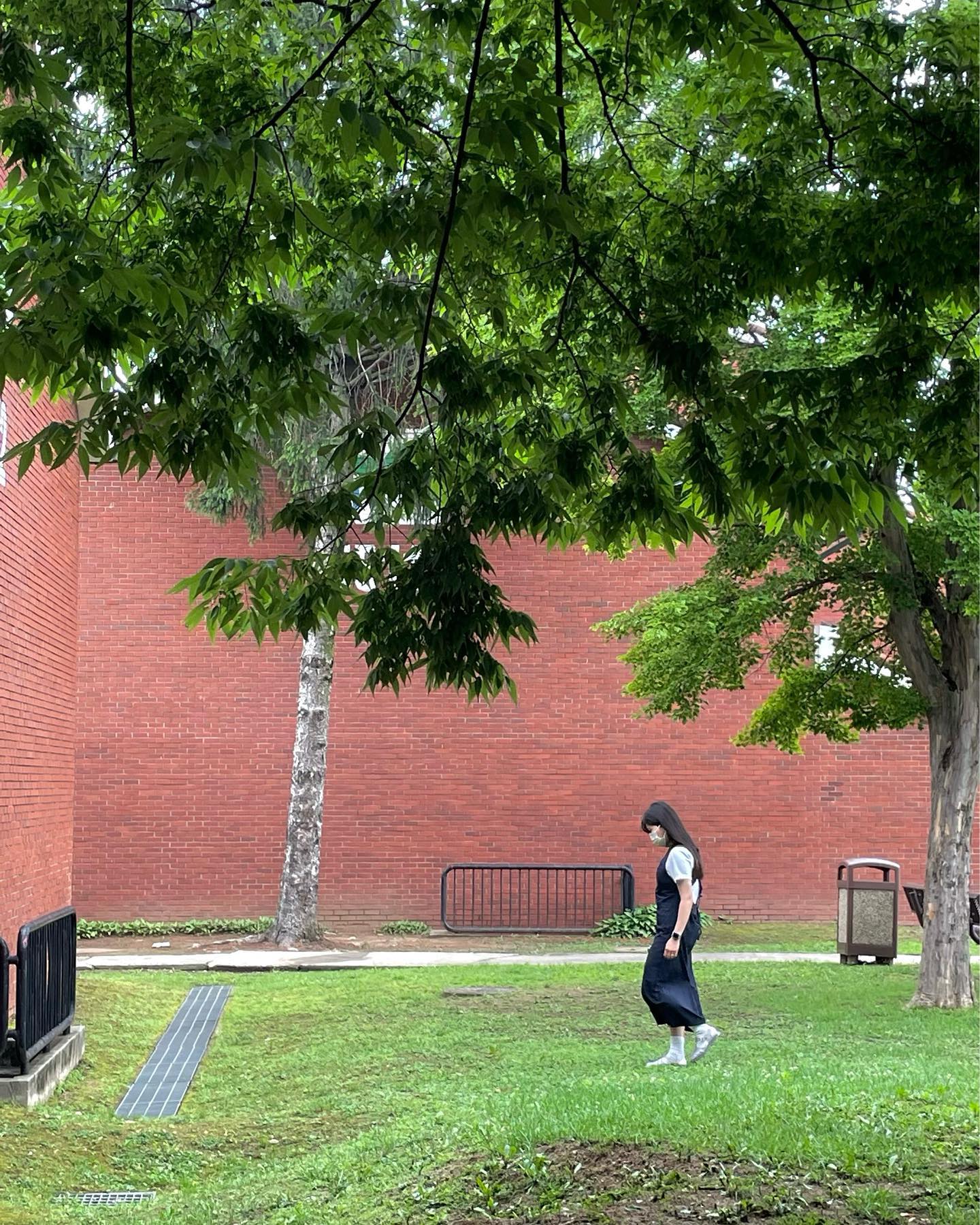 푸릇푸릇 좋다아🌱🪴🌳🍃💚