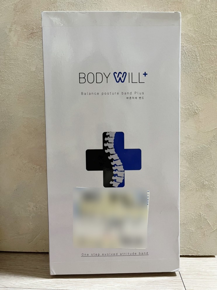바른자세교정밴드 바디윌 : 진짜 편해요, 추천