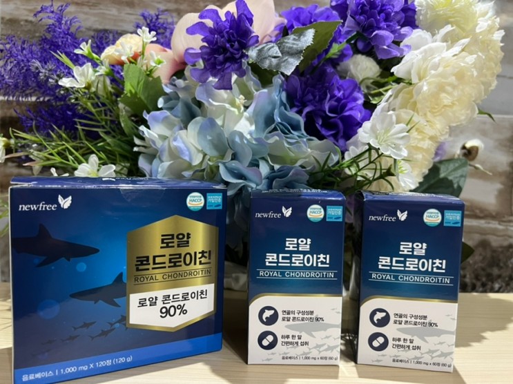 [관절영양제] 로얄 콘드로이친으로 우리의 관절건강 챙겨봅시당.