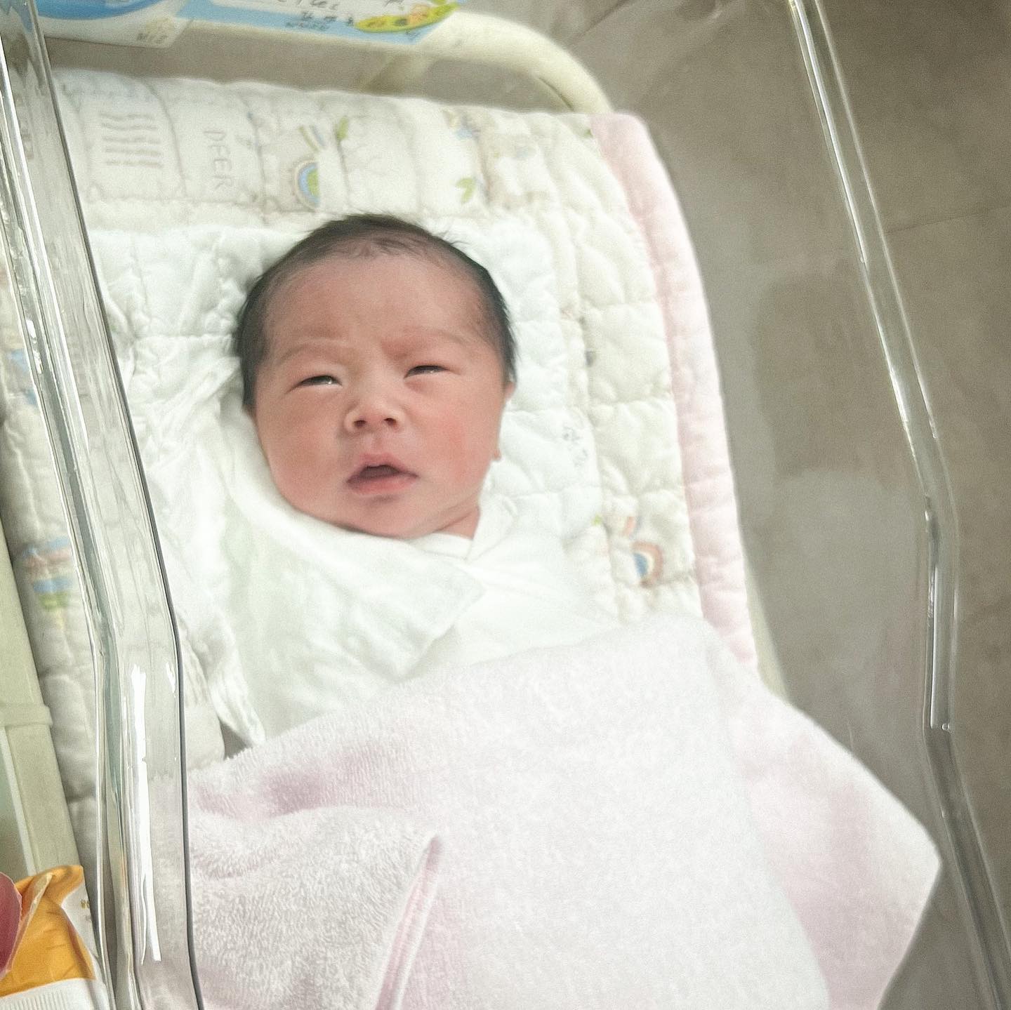 김리안👶🏻

우리 세찌 태어나자마자 이쁘네🤎🤎🤎🤎
눈깜박깜박,쪼그만입으로 하품하는것도 그냥 다이쁘고만
울서방 마스크썼는데도 입이 귀에 걸린게 보이네 ㅋㅋㅋㅋ