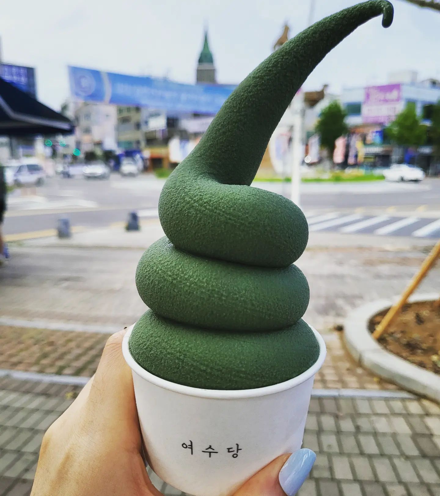 #여수당 #여수당아이스크림 #여수당쑥아이스크림 #여수해풍쑥아이스크림 #이순신광장맛집 #이순신광장카페 #여수이순신광장 #쑥맛아이스크림 #쑥아이스크림 #여수먹을거리 #여수여행 #한국여행 #ヨス #ヨモギアイス #よもぎ #ヨモギソフト #麗水グルメ #麗水堂