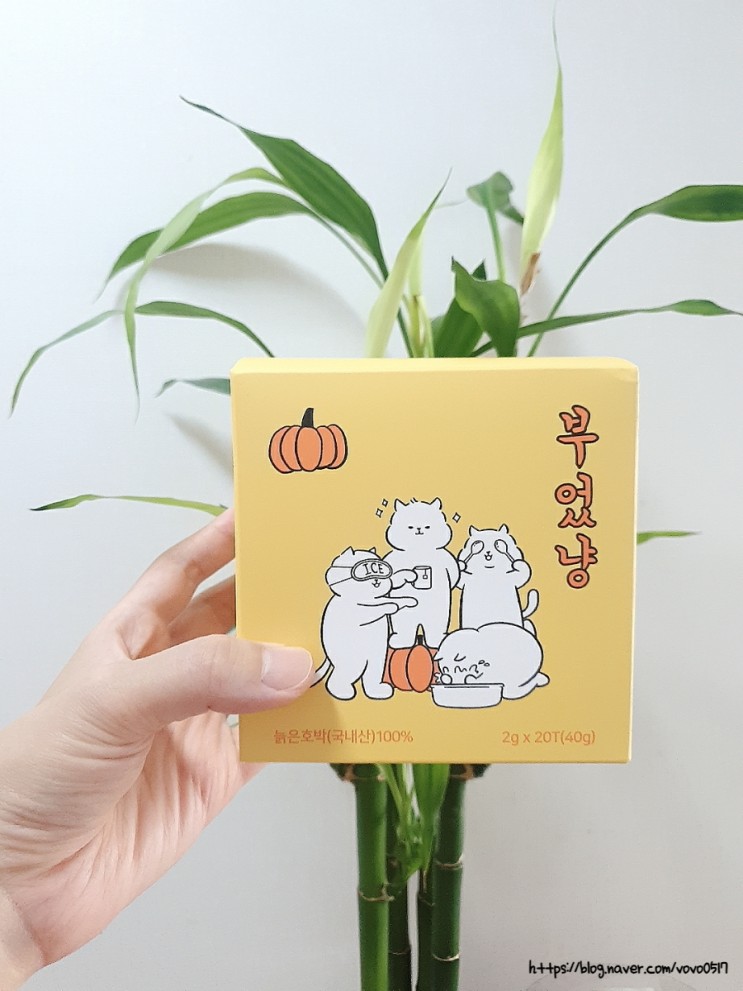 출산 후 부기 빼기 좋은 부었냥 호박티 챙기기