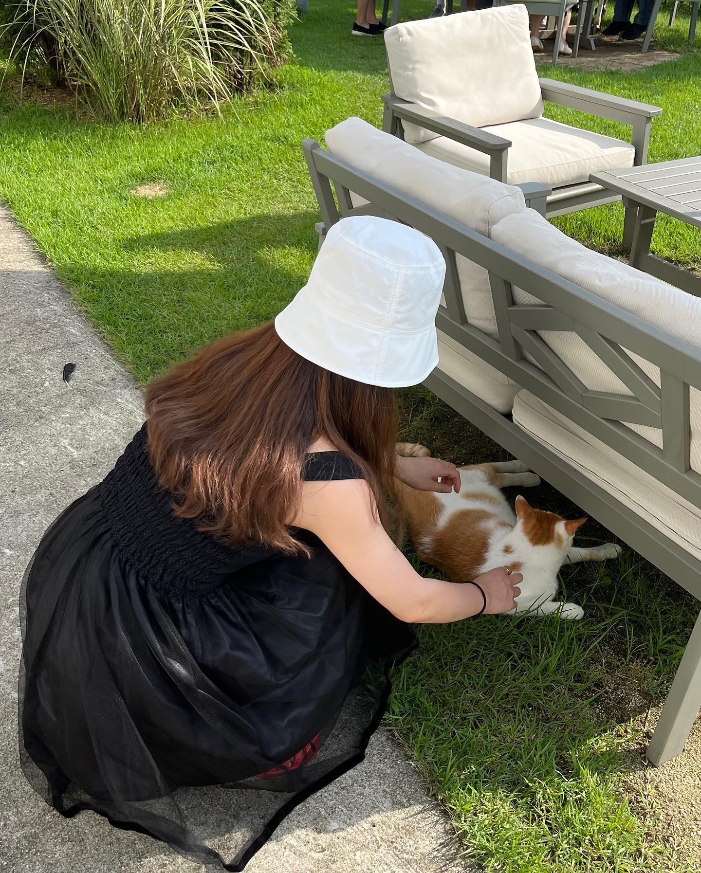 나만 고양이 없어°̥̥̥̥̥̥̥̥ω°̥̥̥̥̥̥̥̥