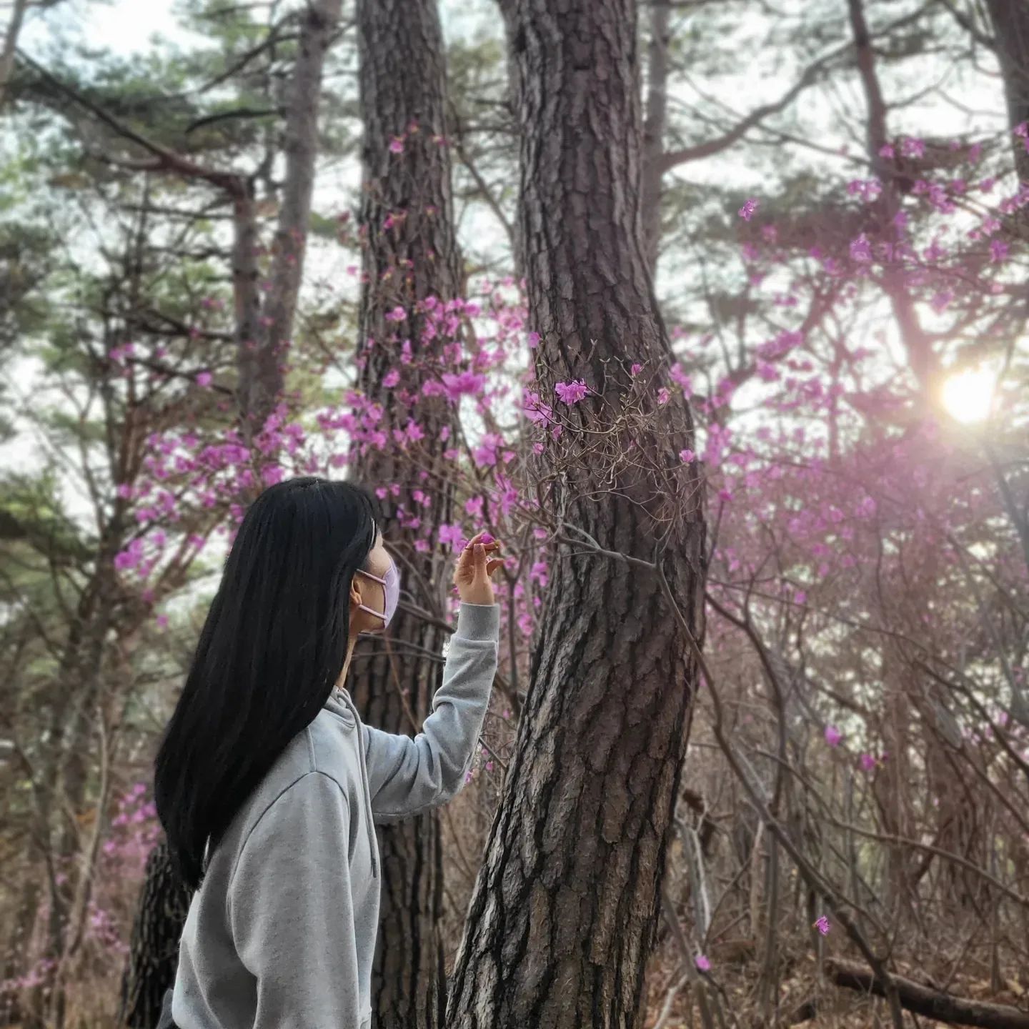 등산가기 싫어서
아홉산 숲 갔었는데
정말 예쁘더라.

#아홉산숲 #힐링 #대나무숲