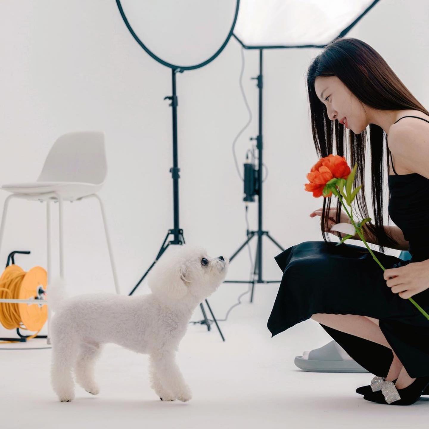 촬영 중 옆 스튜디오에서 온 귀염둥잉🐶
같이 사진찍자고 꼬시는 중💕