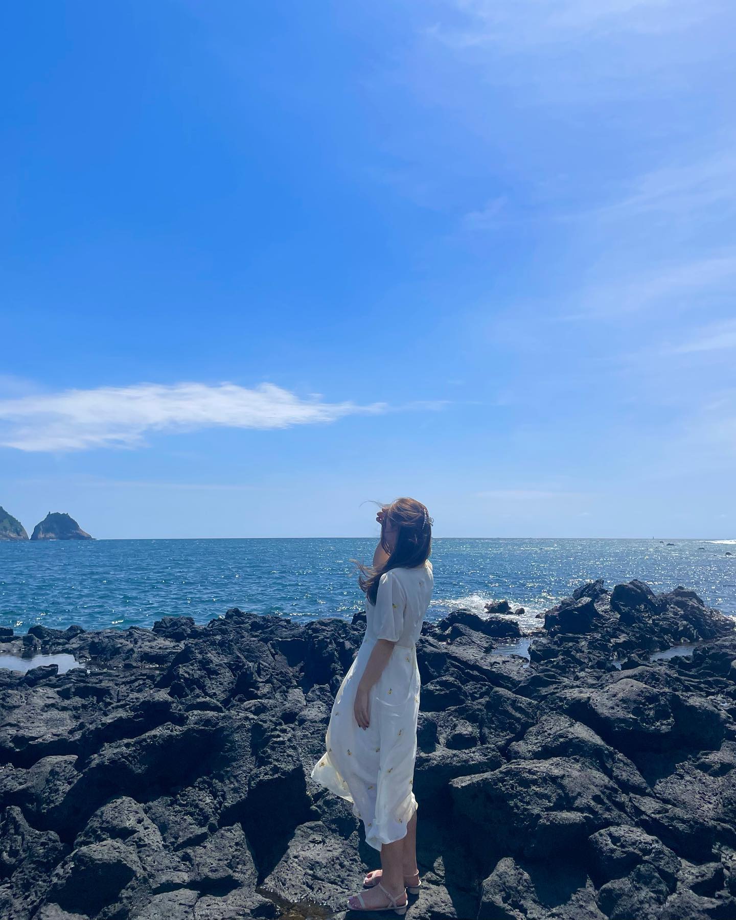 햅삐 제주 🐳🐬🐟🌊💙