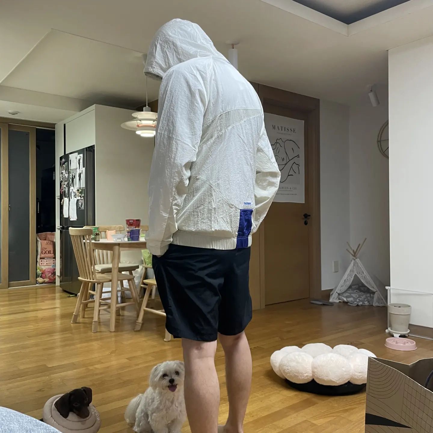 기다려

"싫은데"