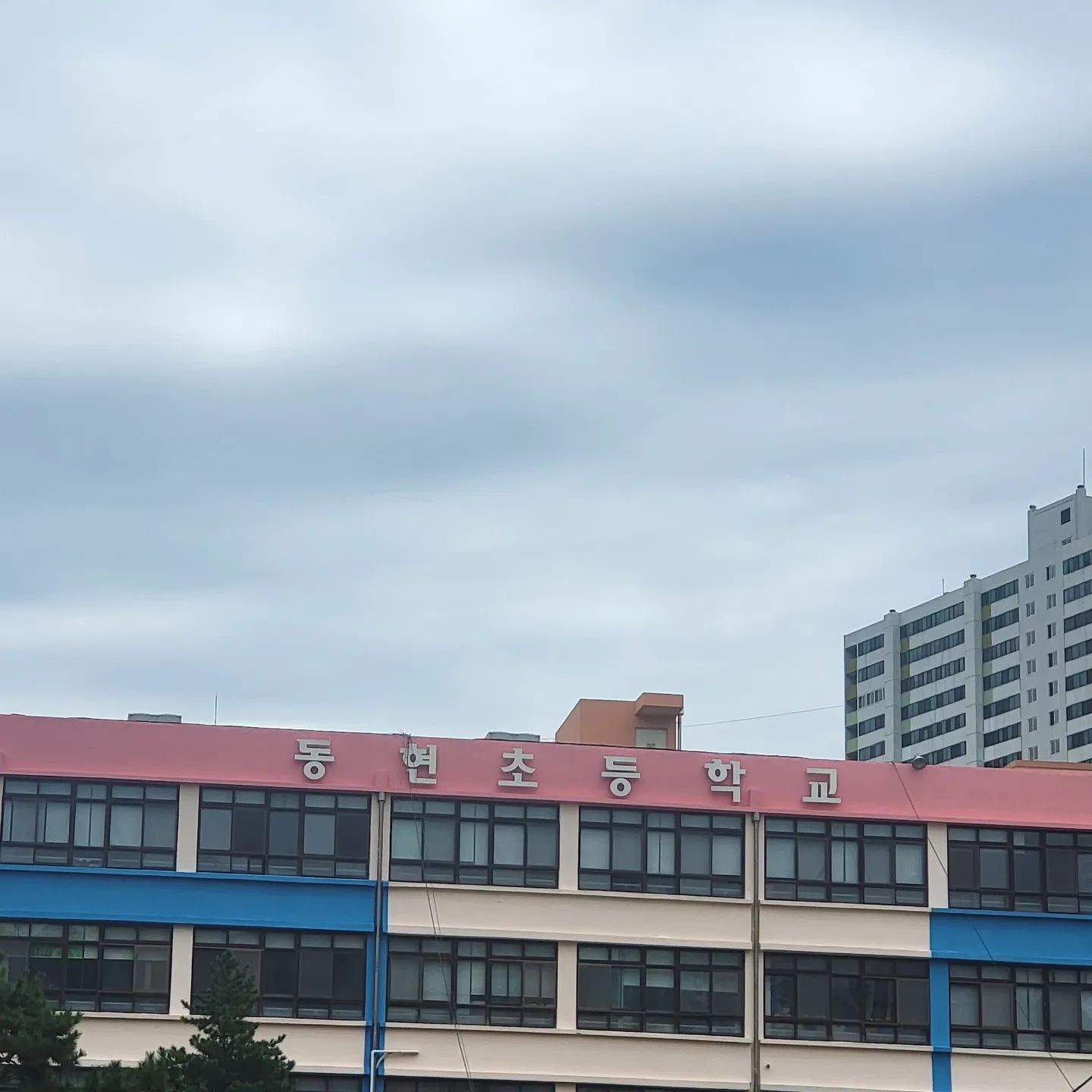결혼식 있어 간 부산
잠시 들려본 모교
우리 첫째가 초등학생
여기 엄마가 다녔던 학교야~ 이야기하는데 뭉클🙄

내가 사랑했던 타이어는 사라지고 없더라... 
괜히 아쉽고 난리😥