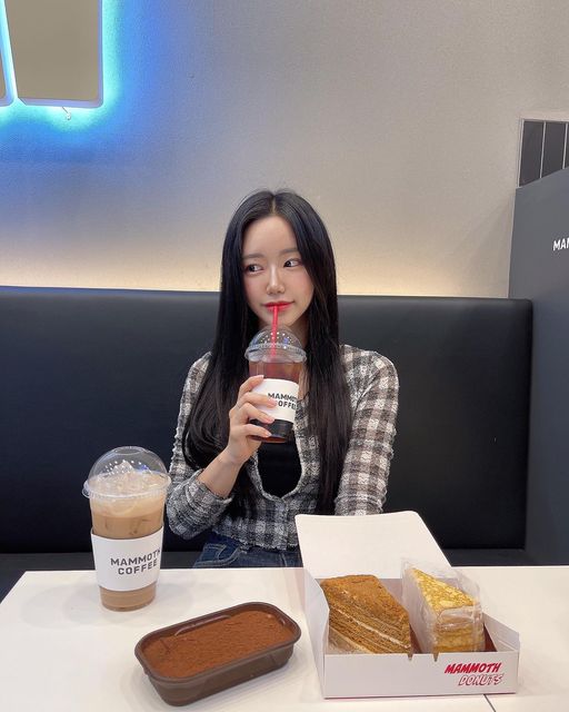 ꯁ효빈(hyobin)ꯁ/🇰🇷 on Instagram: "#광고 매머드커피에서 새로운 디저트 4가지나 나왔지롱🐷 아쉽게도 #폭탄카스테라 는 못 먹었지만 나머지 3가지 냠냠 ✔️매도브니크클래식꿀케이크 체