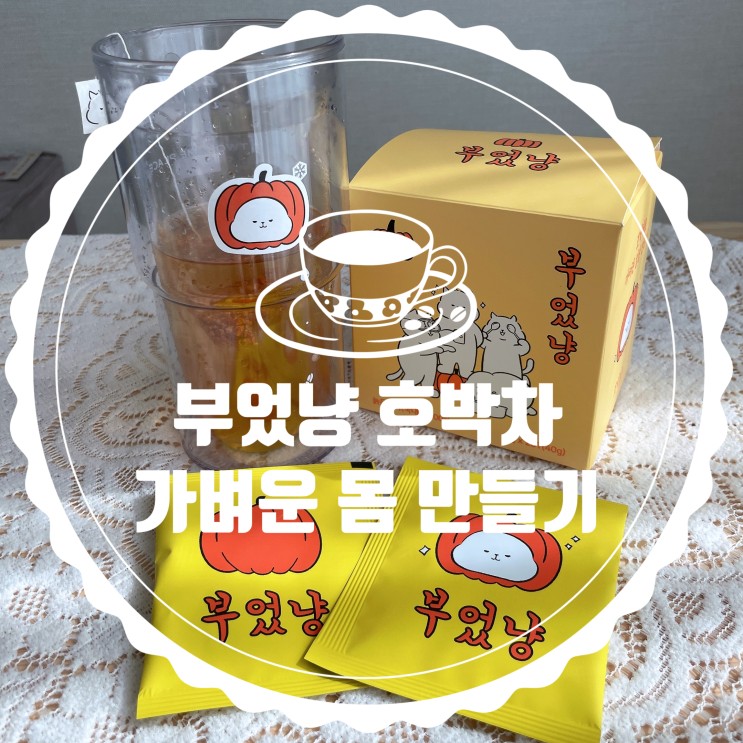 부었냥 호박차로 가벼운 몸 만들기 시작~!