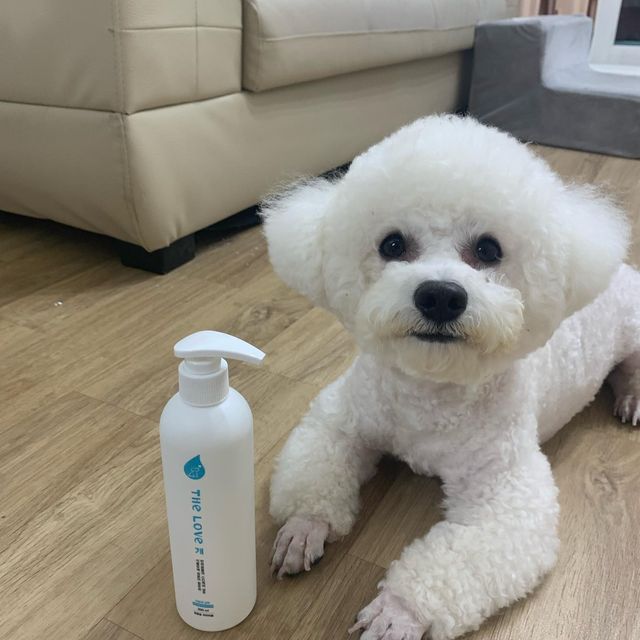 오천둥⚡️오하트💝 on Instagram: "#협찬 🔔띵동🔔 천둥하트 집에 택배가 와서 뭐지?~! 하고 봣는데! @thelovedog_official 에서 더럽개 반려견 저자극 샴푸를 선물해 주셨어요😊💛 마침 하트가