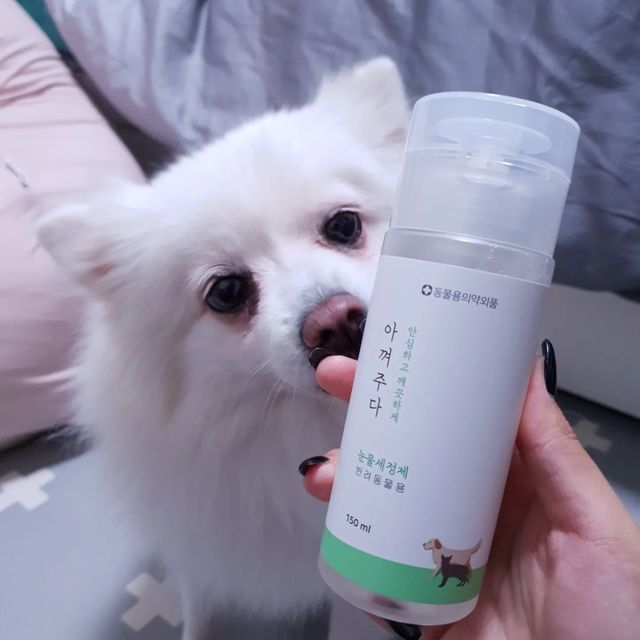 💜김휴이💜 on Instagram: "#업체로부터제공받은제품입니다 #아껴주다 #강아지눈물세정제 휴이는 눈물이 참 많은 아이에요(；′⌒`) 무조건 먹기만 하면 눈물이 기본적으로 터지는데 병원에