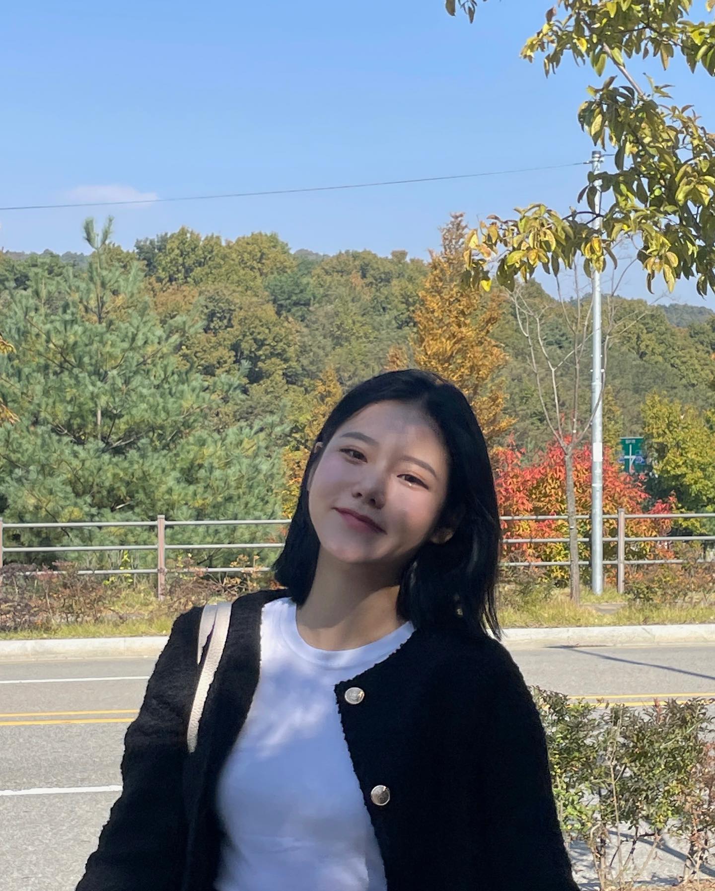 일해라 절해라 하지 마세라핌