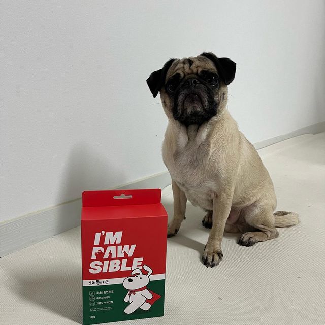 수밍밍 on Instagram: "#광고 ✅휴면그레이드 ✅100% 국내산 천연 원료를 사용한 고품질 수제간식 ✅피부 및 혈관 건강 , 독소 배출 , 치아 건강에 도움 ✅비교적 작은 사이즈로 배급량