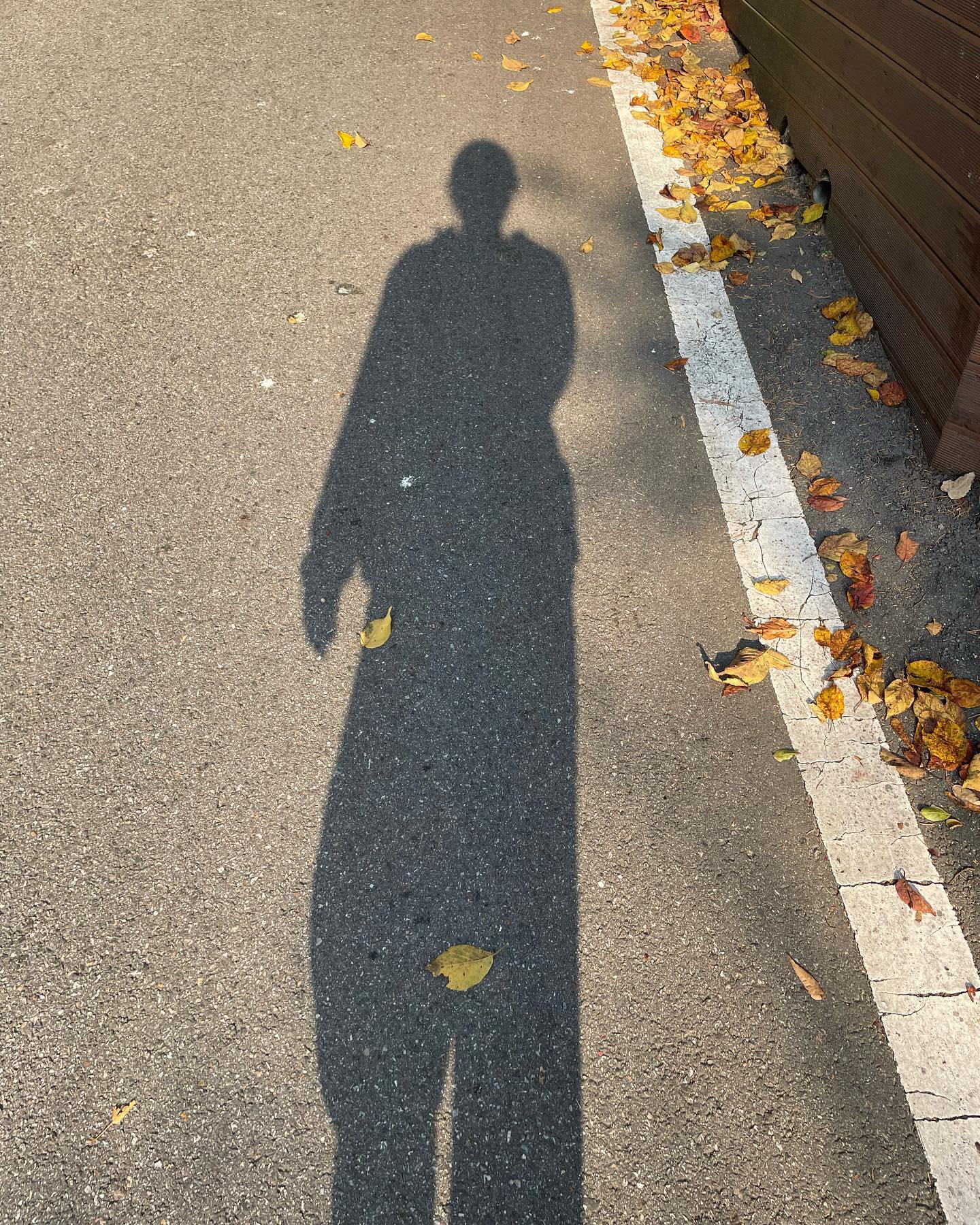 2m 살짝 안 되는 것 같아요 막이래