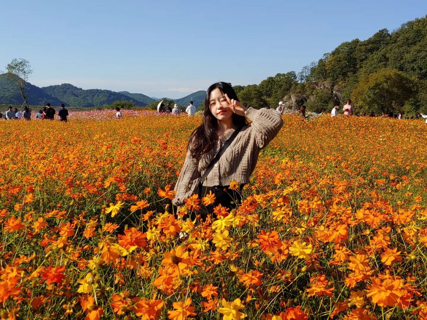 #221016 #함안악양생태공원 #💜