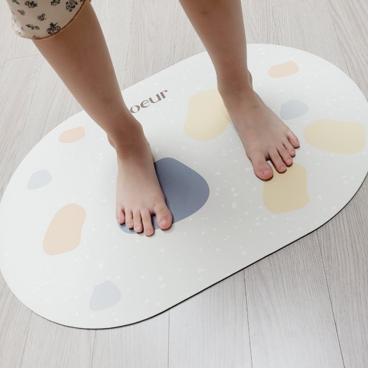 현관발판 빨아 쓰는 규조토 발매트 코에르 화장실 매트 집 꾸미기 딱이야!!