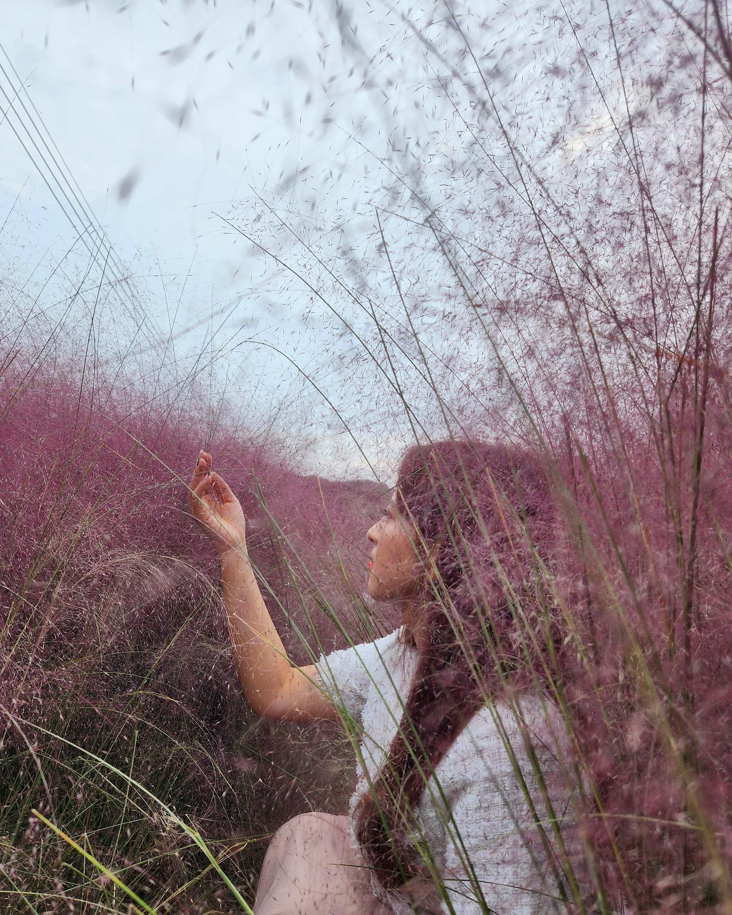 핑크뮬리는 언제봐도
예쁘네🥰

이제 단풍 보러 가야지🍂
가을 너무 좋아

#가을단풍보러가야지 
#핑크뮬리는내년에 
#또봐야지