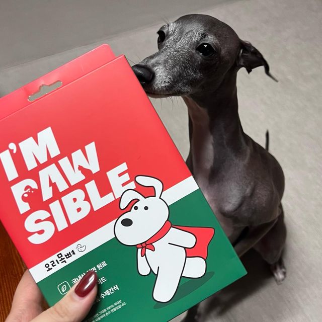 이탈리안 그레이하운드 _ 레이🐾 on Instagram: "#광고 우리동네 소문난 쩝쩝박사 레이의 원픽 간식! #임포시블 오리목뼈 소개합니다😋😋 임포시블의 수제 간식 특장점!! - 100% 국내산 천연 원