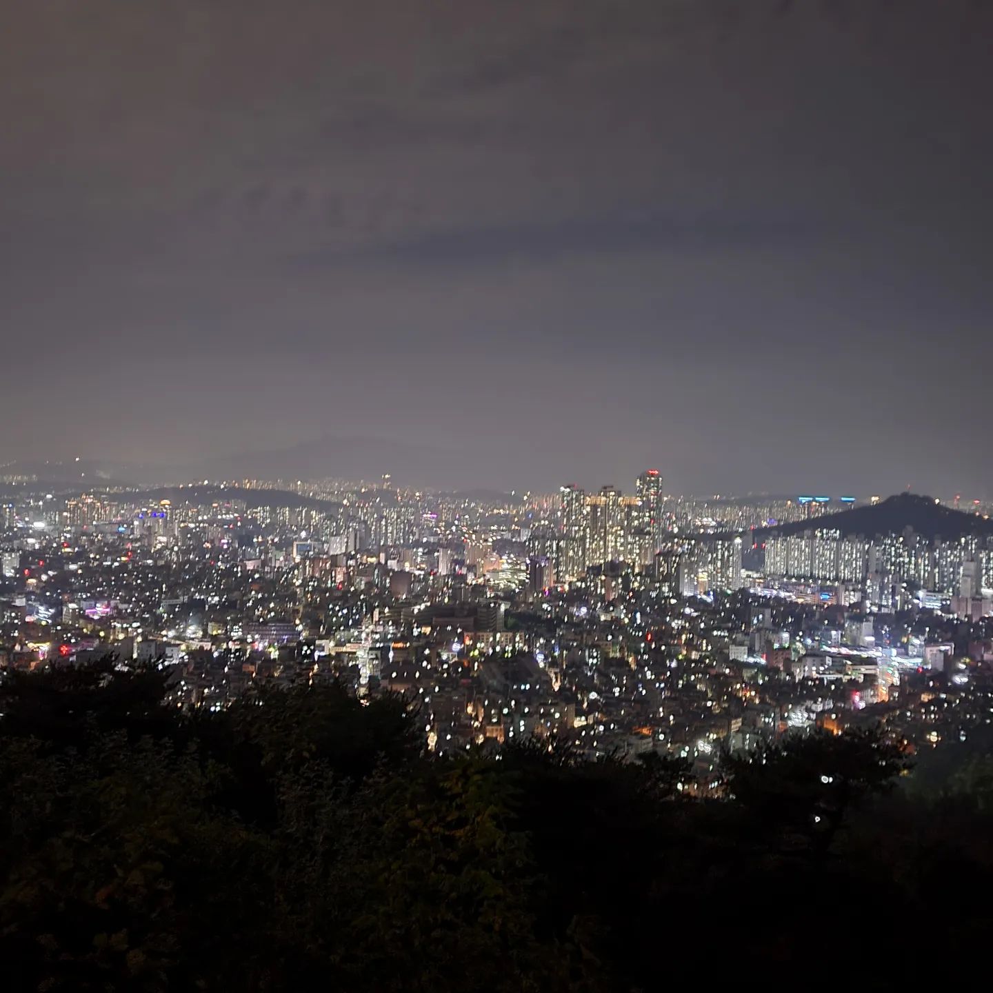 동네뷰

밤에 가기엔 쫌 무섭🫠
#밤마실🌙