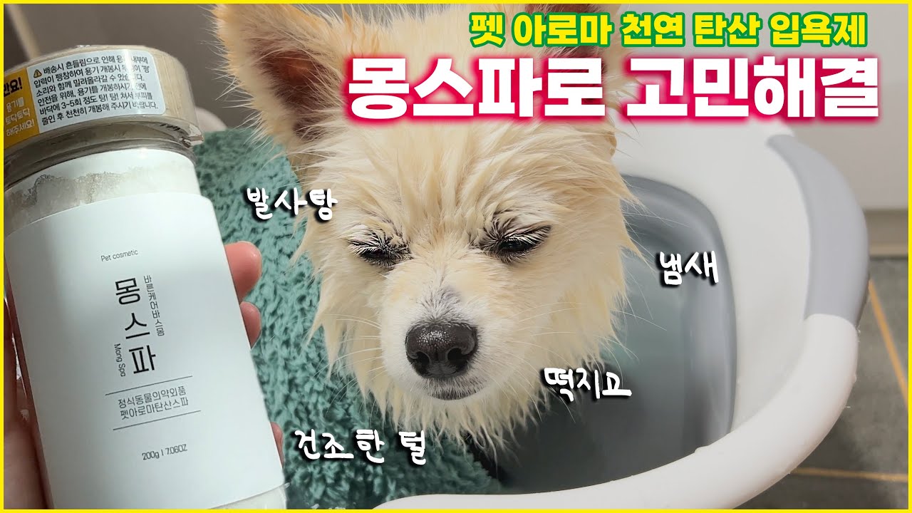 폼피츠 이중모관리 지금이야 강아지스파 할 시간 | 바스몽 몽스파로 윤기나고 보습가득 해진 내 털 구경하러 와!