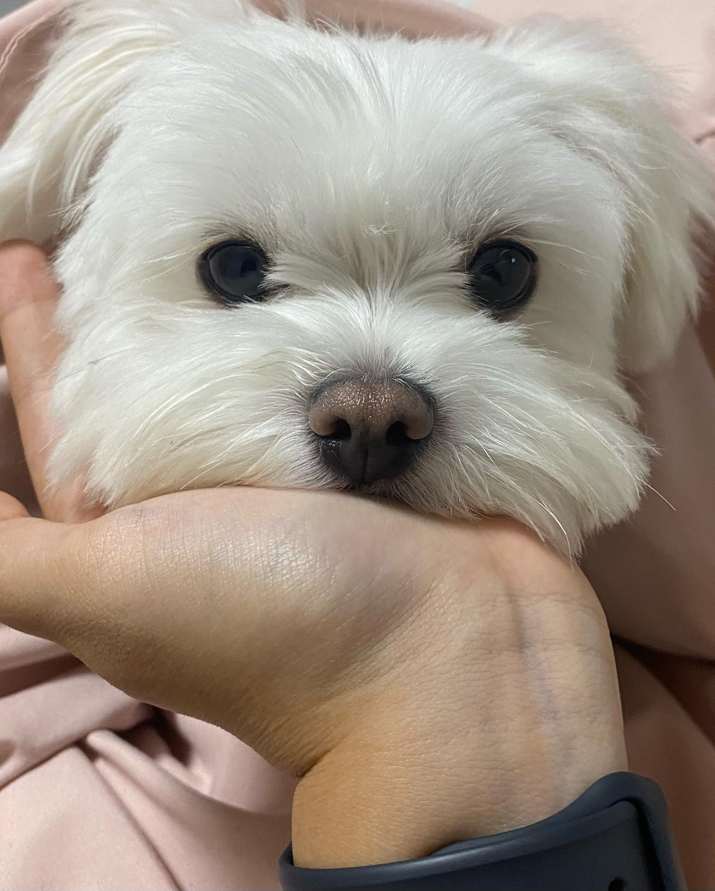 콘텐츠