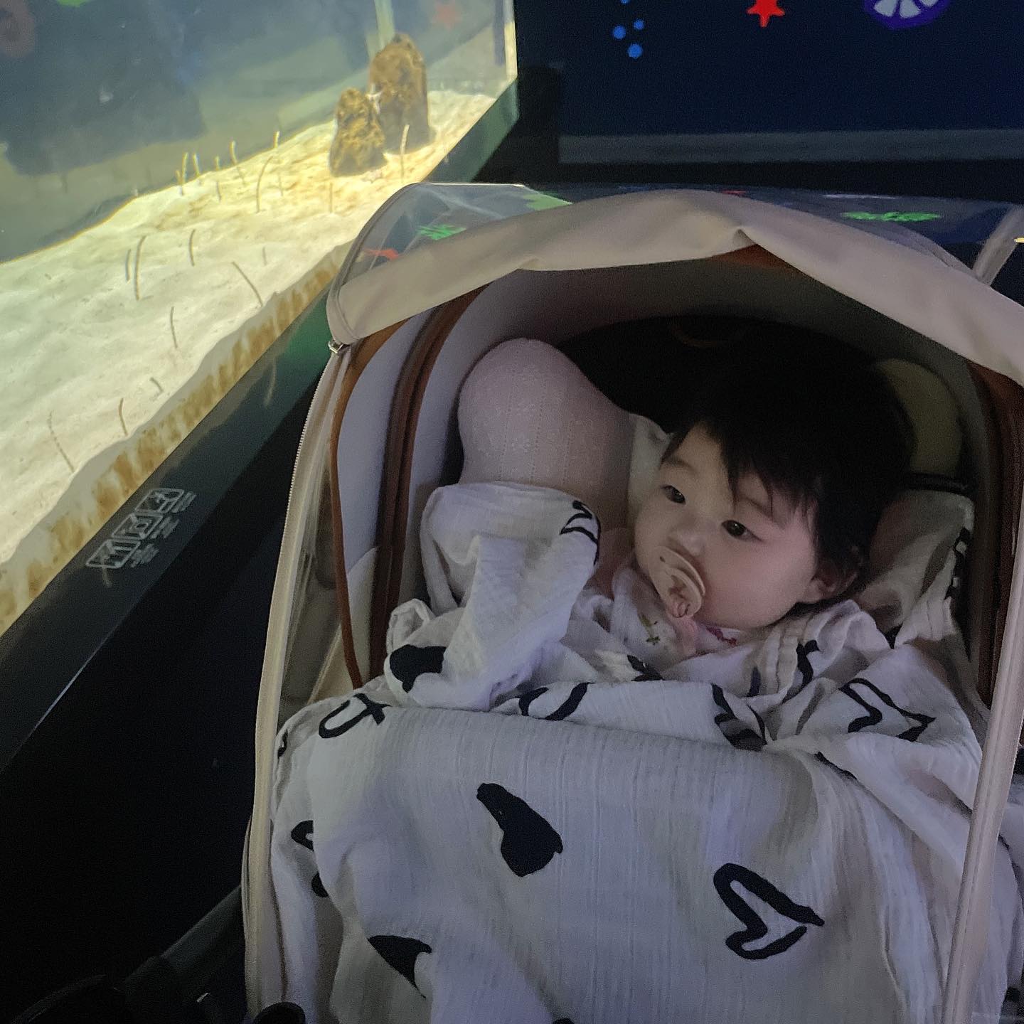 🐯물고기야 친구하자🐯
.
원더윅스가 끝나고 급 성장한 우리 이서공주님👸🏼
앉기 뒤집고 배밀이 길게 옹알이 길게 웃기등등 재롱이 늘었는데 무엇보다 우리 이서가 누워서 혼자 잠을 자기 시작했다👏🏻👏🏻👏🏻
성장한 대신 매일 산책을 해서 요즘 나가면 재밌다는걸 아는건지 자꾸만 나가자고 징징징🫠
오랜만에 이모들을 만나서 혹시나 낯가림 어쩌나했는데 낯도 안가리고 재밌게 신세계 구경하다가 아쿠아리움 물고기 친구들 구경하고 인어공연에서 뻗으셨다🐟🐠🦈🦭
또 만나서 재밌게 놀아요 이모들💗
