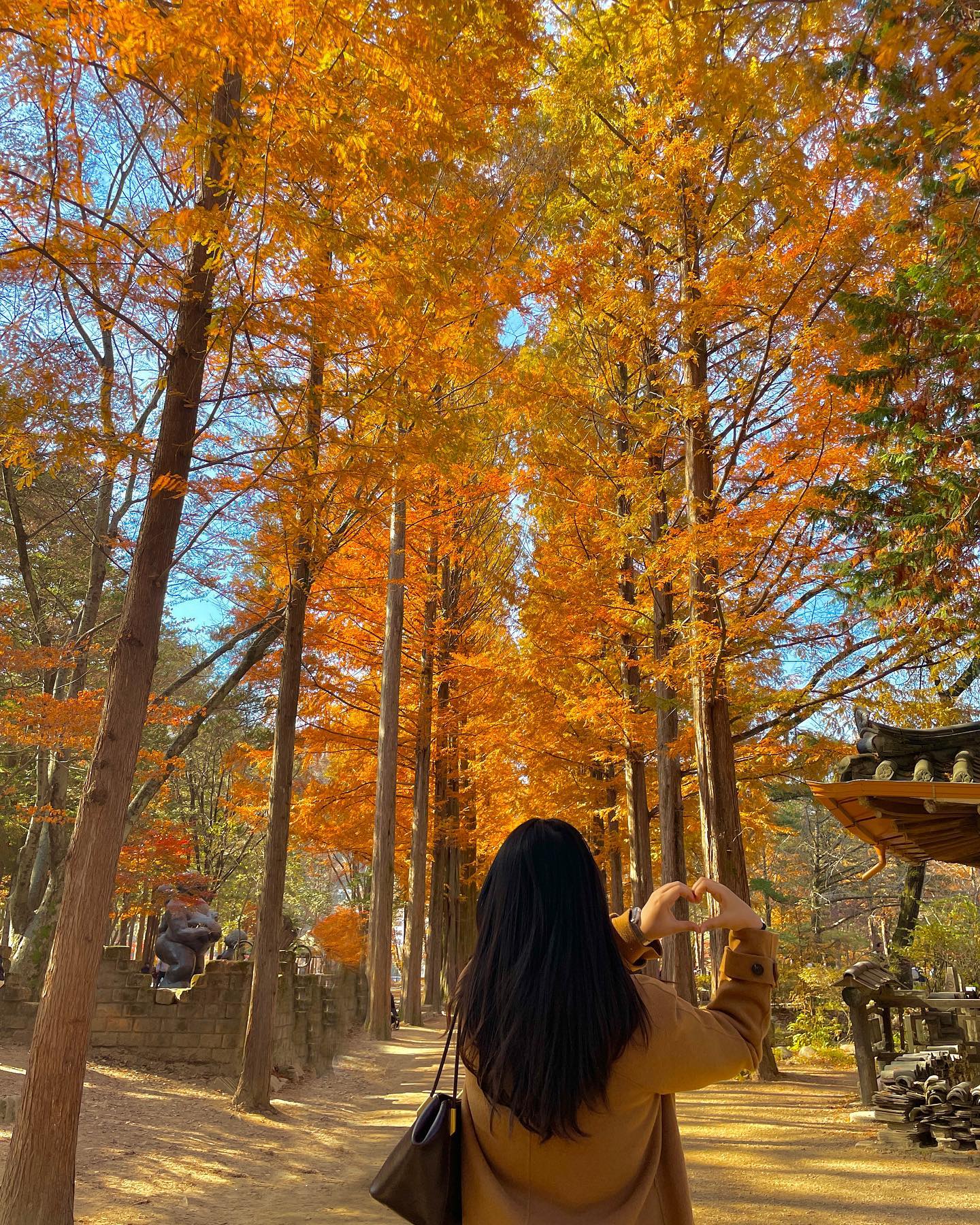 포토스팟 가득한 서울 근교 단풍 명소🍁

가평에 있는 단풍 명소로 색색깔의 나무들과 북한강까지 한 번에 즐길 수 있어요 🤎🍁

곳곳에 있는 포토 스팟들과 다양한 카페와 먹거리, 자전거, 열차까지❗️
가족, 친구, 연인 누구와 가도 좋아요🫶🏻

가는 방법
1️⃣짚라인 (1인 49,900원)
2️⃣배 이용 (1인 16,000원)
으로 취향에 맞게 골라서 갈 수 있어용〰️
주말에는 인파가 많으니 미리 예매해서 가는걸 추천드려요❕

서울 근교에서 단풍 명소를 찾으신다면 방문 어떠세요〰️⁉️

📍가평 #남이섬 
✔️ 강원 춘천시 남산면 남이섬길 1
✔️ 주차 : ⭕️
✔️ 운영 시간 : 매일 8시 ~ 21시

📝 닭갈비집에 대놓고 나오는길에 먹으면 주차비를 공짜로 이용할 수 있습니다!
