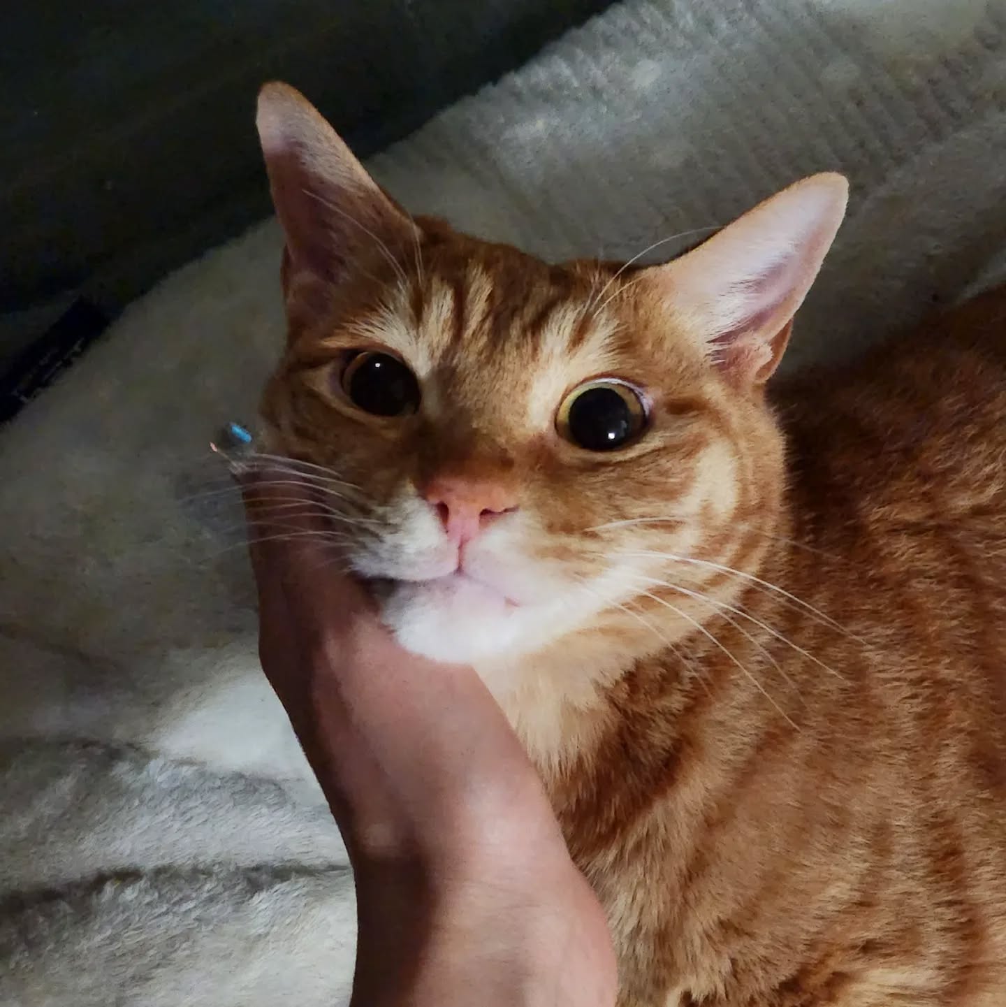 윙뀨😘